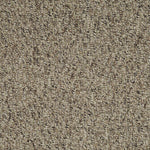 Load image into Gallery viewer, Socrates Ii Patcraft commercial carpet tile
