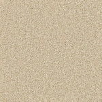 Load image into Gallery viewer, Era Patcraft commercial broadloom
