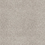 Load image into Gallery viewer, Location Patcraft commercial broadloom
