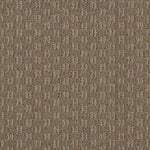 Load image into Gallery viewer, Opportunity Knocks Patcraft commercial broadloom
