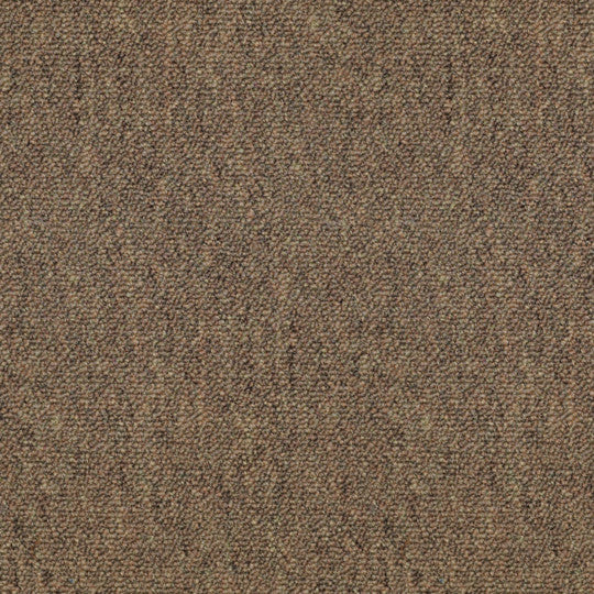 Scholastic Ii