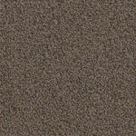 Load image into Gallery viewer, Color Your World Patcraft commercial broadloom

