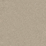 Load image into Gallery viewer, Continuity Solid Patcraft commercial broadloom
