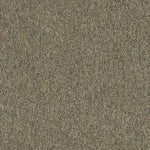 Load image into Gallery viewer, Homeroom V. 3.0 Patcraft commercial carpet tile
