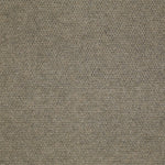 Load image into Gallery viewer, Walk Right In Ii Patcraft commercial carpet tile
