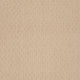 Big City Beige (00172)