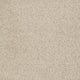 Chic Cream (00112)