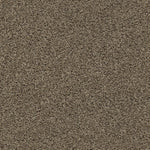 Load image into Gallery viewer, Shaw Del Morro - Denali (00518) - ZZ021-00518
