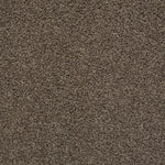 Load image into Gallery viewer, Shaw Del Morro - Shadow (00525) - ZZ021-00525
