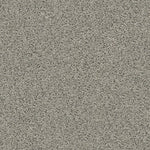Load image into Gallery viewer, Del Morro Shaw nylon carpet
