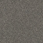 Load image into Gallery viewer, Shaw Del Morro - Anchor (00555) - ZZ021-00555
