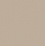 Load image into Gallery viewer, Cathedral Hill Ii Shaw nylon carpet
