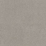 Load image into Gallery viewer, Ocean View Shaw nylon carpet
