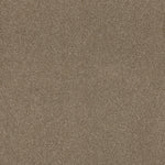 Load image into Gallery viewer, Shaw Ocean View - Lodge (00736) - ZZ043-00736
