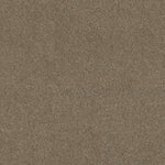 Load image into Gallery viewer, Shaw Ocean View - Canyon Trail (00775) - ZZ043-00775
