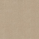 Load image into Gallery viewer, Shaw Acadia Park — Delicate 00113 carpet
