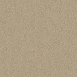 Load image into Gallery viewer, Shaw Acadia Park — Softer Tan 00123 carpet
