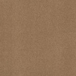Load image into Gallery viewer, Shaw Acadia Park — Saddle 00228 carpet
