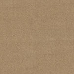 Load image into Gallery viewer, Shaw Acadia Park — Farro 00237 carpet
