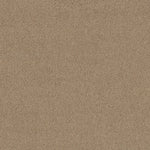 Load image into Gallery viewer, Shaw Acadia Park — Wicker 00273 carpet

