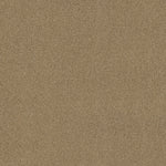 Load image into Gallery viewer, Shaw Acadia Park — Caramelo 00275 carpet
