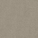 Load image into Gallery viewer, Acadia Park Shaw nylon carpet
