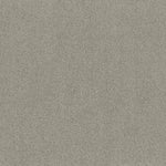 Load image into Gallery viewer, Shaw Acadia Park — Celtic 00523 carpet
