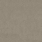 Load image into Gallery viewer, Shaw Acadia Park — Shadow 00534 carpet
