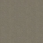 Load image into Gallery viewer, Shaw Acadia Park — Elusive 00537 carpet
