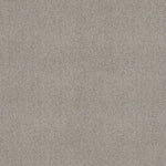 Load image into Gallery viewer, Shaw Acadia Park — Silver Screen 00542 carpet

