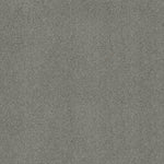 Load image into Gallery viewer, Shaw Acadia Park — Classic Stone 00545 carpet
