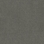 Load image into Gallery viewer, Shaw Acadia Park — Mineralite 00548 carpet
