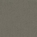 Load image into Gallery viewer, Shaw Acadia Park — Drift 00554 carpet
