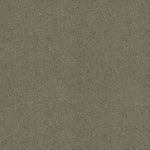 Load image into Gallery viewer, Shaw Acadia Park — City Gray 00558 carpet
