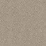 Load image into Gallery viewer, Shaw Acadia Park — Smoky Suede 00712 carpet
