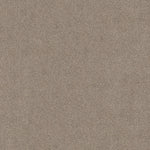 Load image into Gallery viewer, Shaw Acadia Park — Mushroom 00725 carpet
