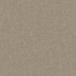 Load image into Gallery viewer, Shaw Acadia Park — Clay 00732 carpet
