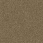 Load image into Gallery viewer, Shaw Acadia Park — Lodge 00736 carpet
