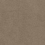 Load image into Gallery viewer, Shaw Acadia Park — Caribou 00756 carpet
