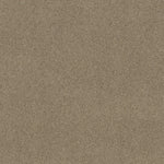 Load image into Gallery viewer, Shaw Acadia Park — Canoe 00773 carpet
