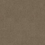 Load image into Gallery viewer, Shaw Acadia Park — Canyon Trail 00775 carpet
