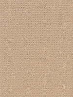 Load image into Gallery viewer, Dream Weaver SANTA MONICA
