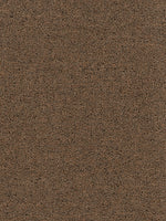 Load image into Gallery viewer, Indoor Outdoor LANAI
