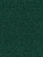 Load image into Gallery viewer, Indoor Outdoor SAHARA
