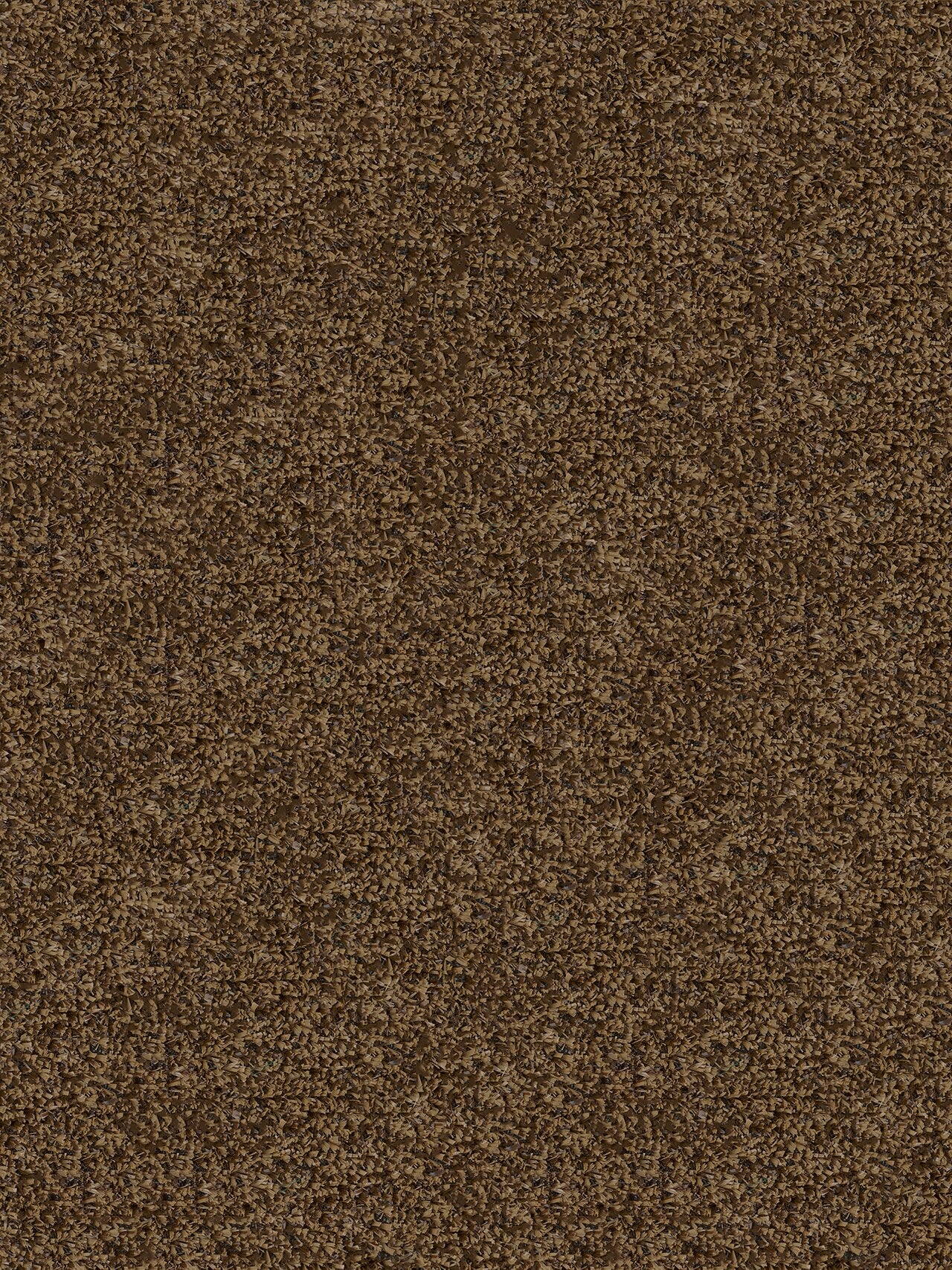 Indoor Outdoor BUDGET TURF