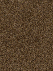 Indoor Outdoor BUDGET TURF