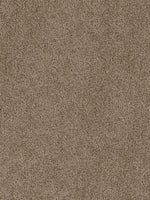Load image into Gallery viewer, EF Multifamily TOP STAR

