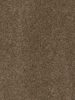 Load image into Gallery viewer, EF Multifamily TOP STAR
