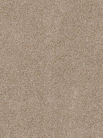 Load image into Gallery viewer, EF Multifamily TOP STAR
