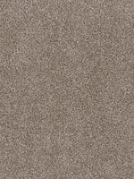 Load image into Gallery viewer, EF Multifamily TOP STAR

